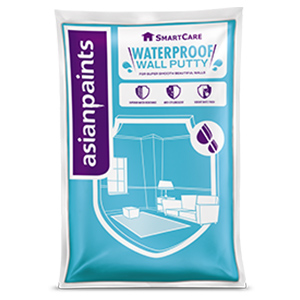 Asian SmartCare Waterproofing Putty